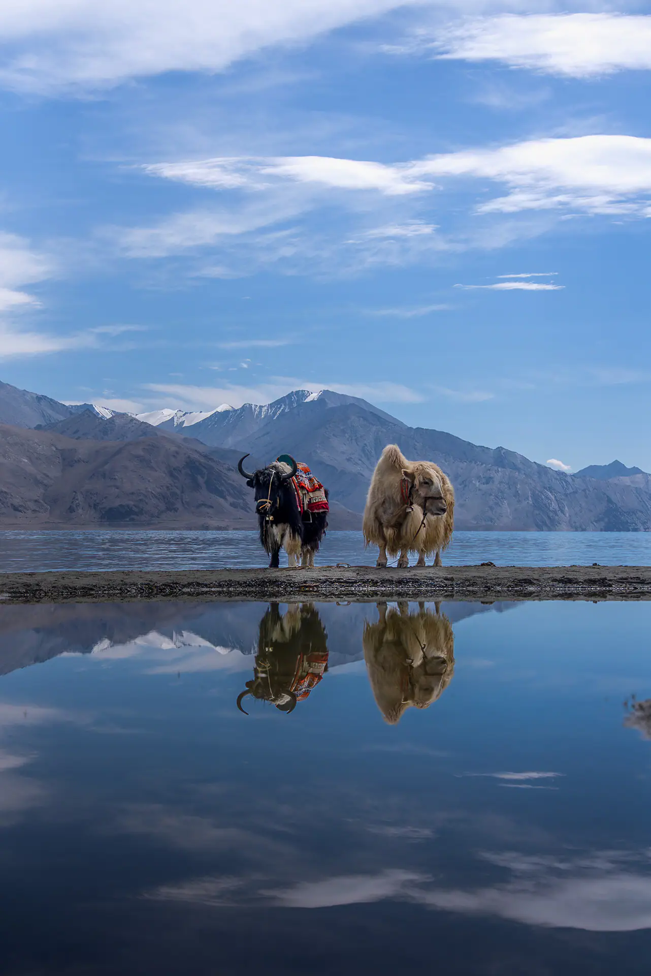 Landcape-Ladakh