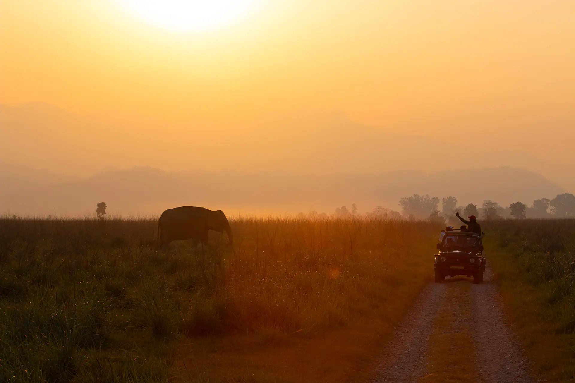 Sunset-with-Jeep-Jim-Corbett