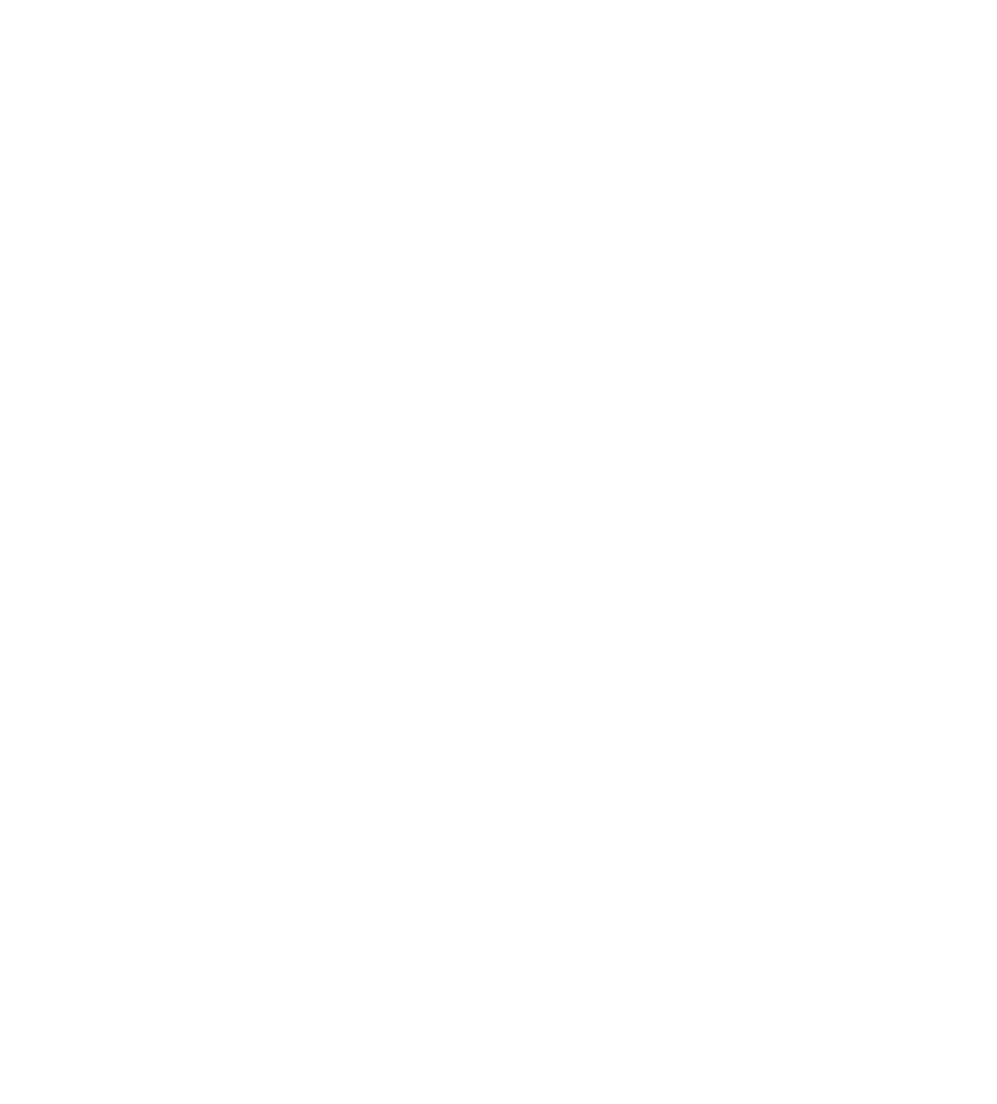 2022 Travellers’ Choice Emblem